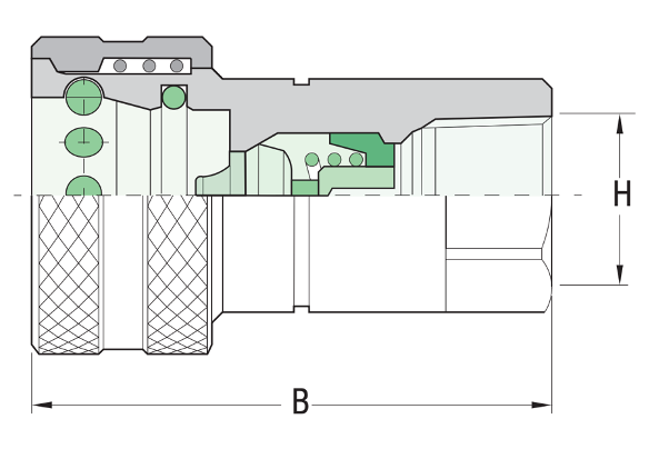 Standard quick couplings