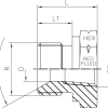 BSP - MALE - NPT - FEMALE - HEX BUSHING - Imagen 2