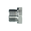 BSP - MALE - NPT - FEMALE - HEX BUSHING