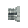 BSP - MALE / FEMALE - HEX BUSHING